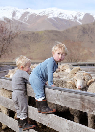 THE MIRACLE OF MERINO WOOL