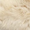 honey swatch