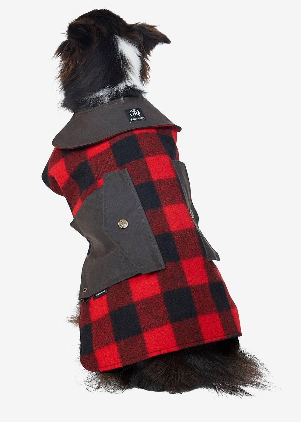 swandri dog jacket