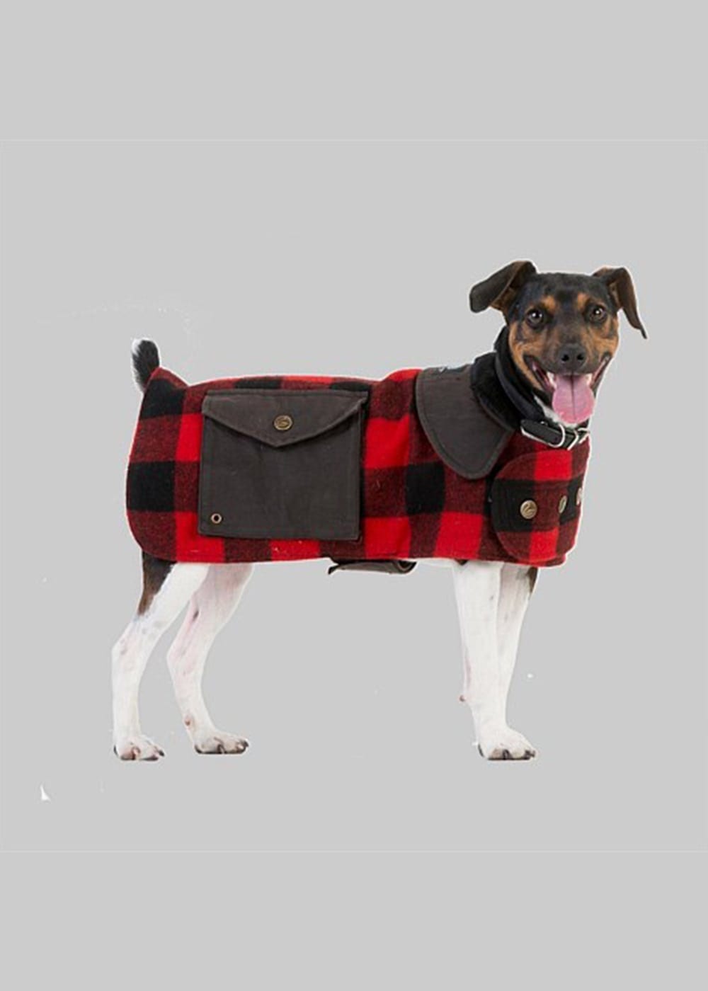 Swanndri Dog Coat red black check - Ecowool