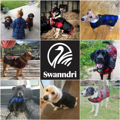 wool swanndri coat dogs - ecowool