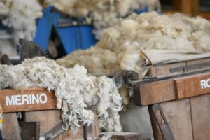 A Guide to Merino Wool